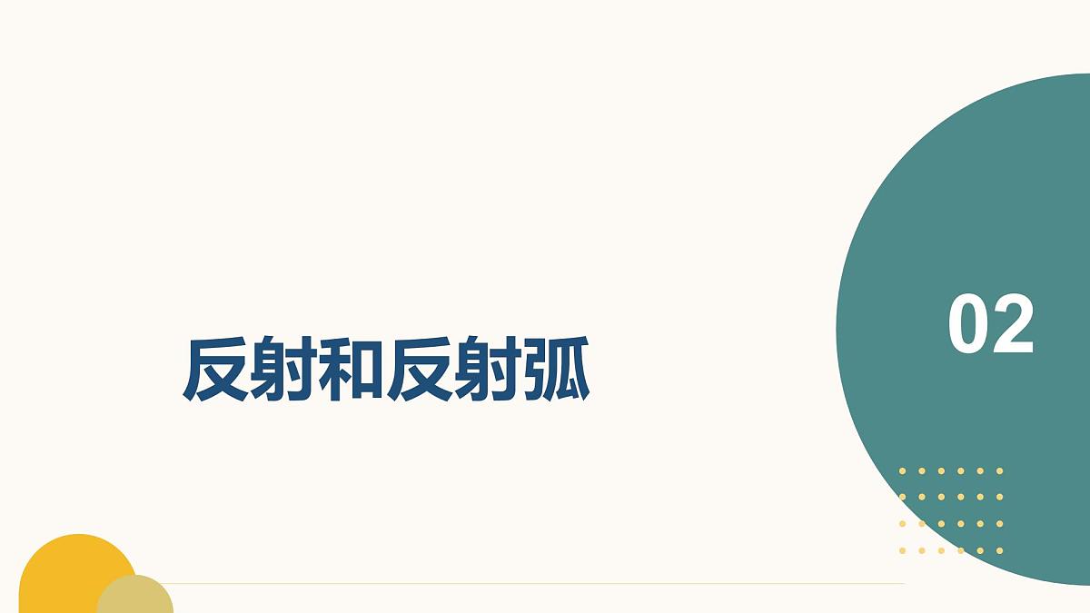 第五章+人体生命活动的调节（7大知识）2025学年七年级生物下学期期末考点大串讲冀少版课件第8页