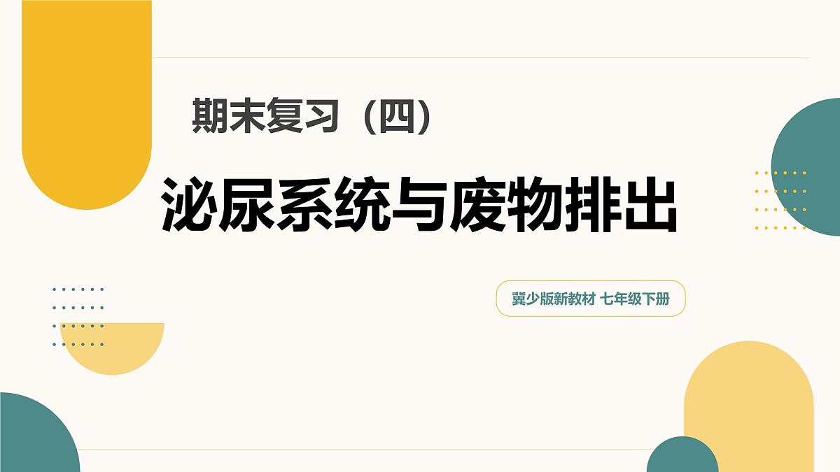 第四章+泌尿系统与废物排出（3大知识）-2025学年七年级生物下学期期末考点大串讲冀少版课件第1页