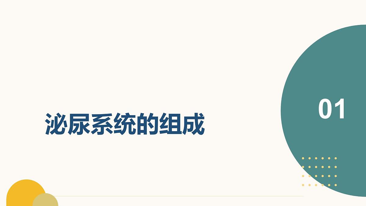 第四章+泌尿系统与废物排出（3大知识）-2025学年七年级生物下学期期末考点大串讲冀少版课件第2页