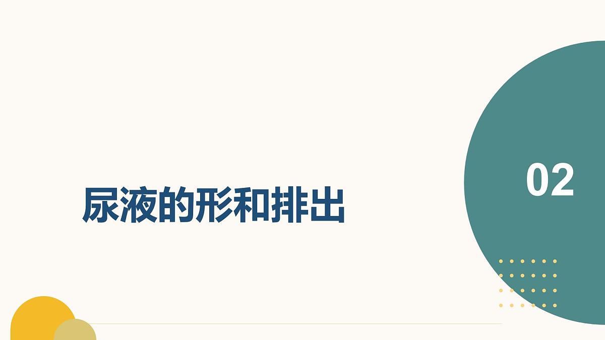 第四章+泌尿系统与废物排出（3大知识）-2025学年七年级生物下学期期末考点大串讲冀少版课件第7页