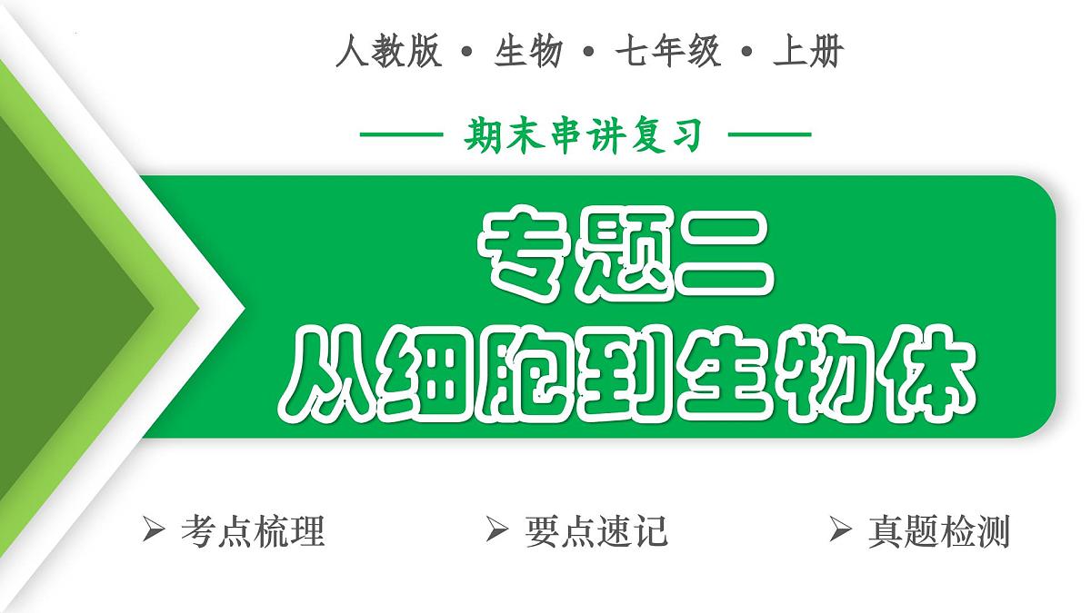 从细胞到生物体（3大考点+要点速记+真题检测）2025学年七年级生物上学期期末考点大串讲人教版课件第1页