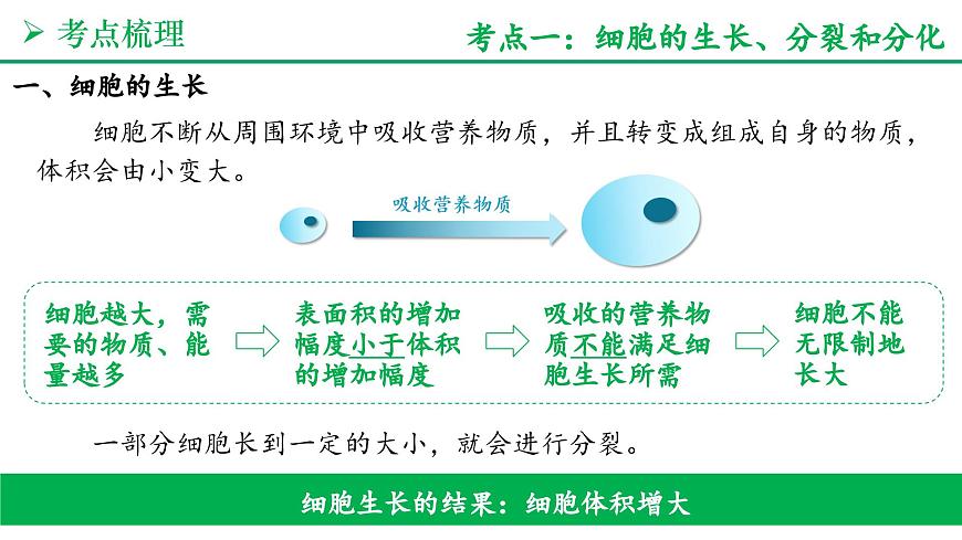 从细胞到生物体（3大考点+要点速记+真题检测）2025学年七年级生物上学期期末考点大串讲人教版课件第3页