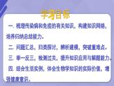 傳染病與免疫（復習課件）-2024-2025學年八年級生物下冊復習課件