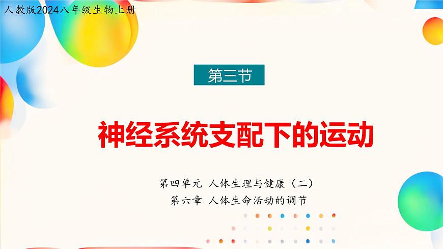 6.3+神经系统支配下的运动（人教版2024）课件第1页
