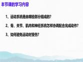 6.3+神經(jīng)系統(tǒng)支配下的運動（人教版2024）課件