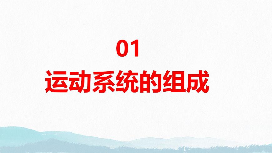 6.3+神经系统支配下的运动（人教版2024）课件第5页