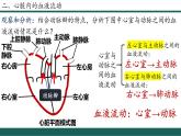 4.4.3+輸送血液的泵—心臟（第2課時(shí)）課件