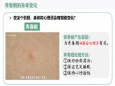 4.1.2+青春期++课件-2024-2025学年人教版生物七年级下册