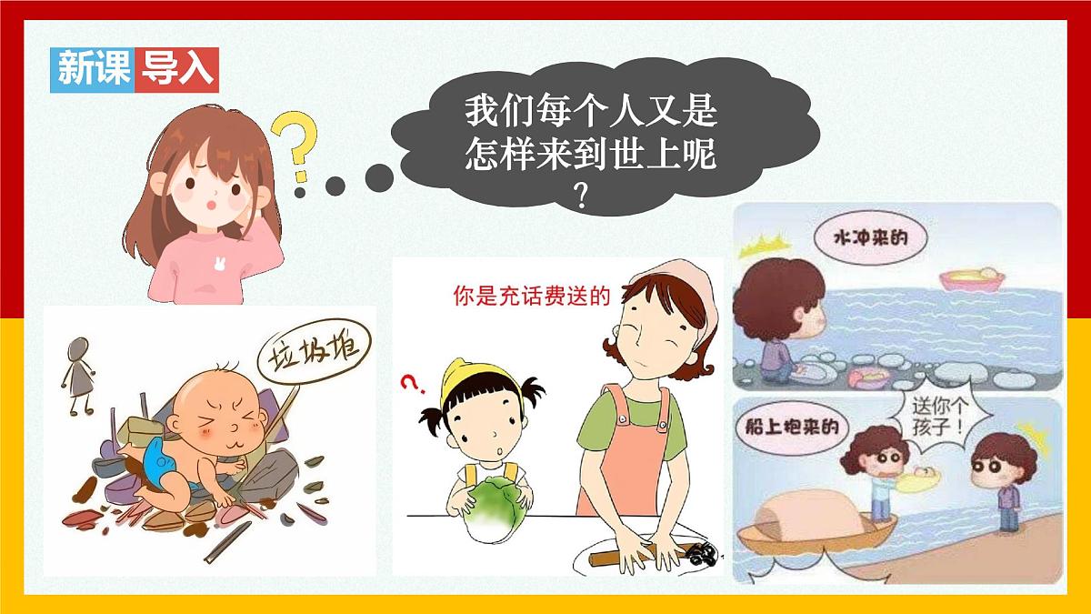 4.1.1人的生殖+课件-2024--2025学年人教版七年级生物下册第1页