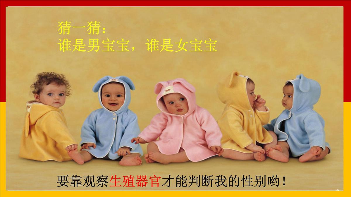 4.1.1人的生殖+课件-2024--2025学年人教版七年级生物下册第5页