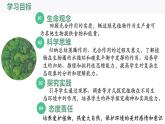 3.2.4++植物在自然界中的作用++课件-2024-2025学年人教版生物七年级下册