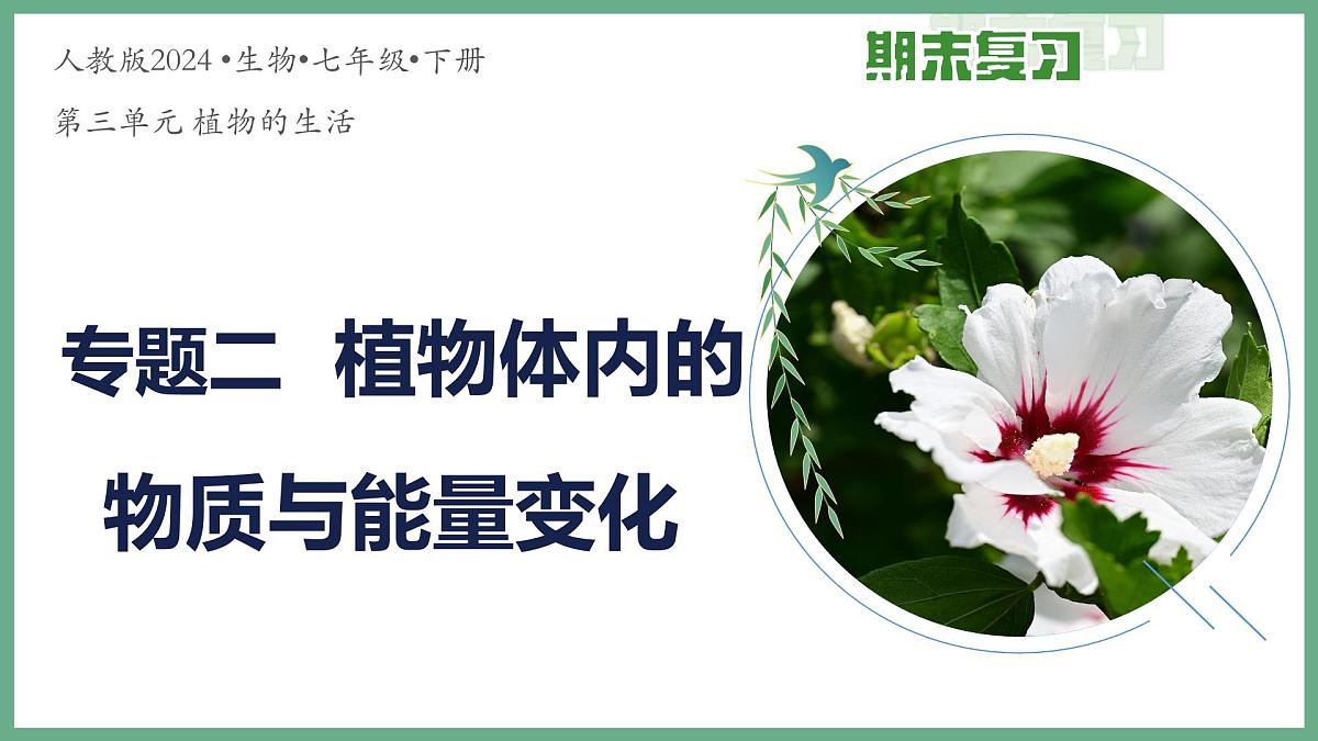 植物体内的物质与能量变化（4大考点）2025学年七年级生物下学期期末考点大串讲人教版课件第1页