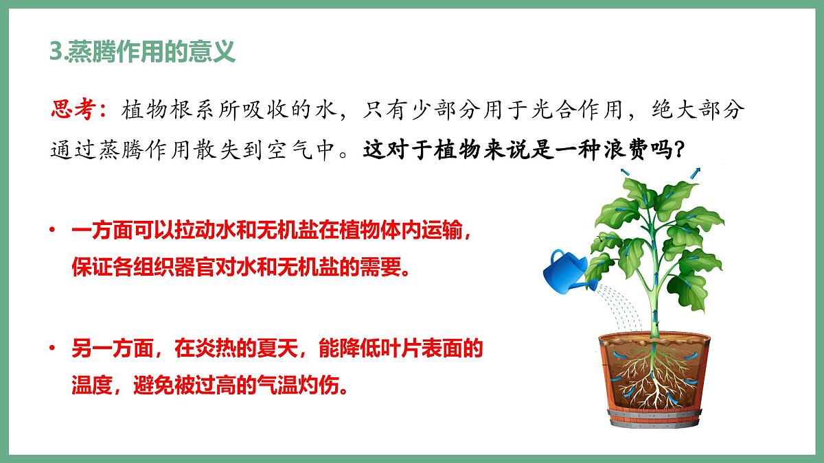植物体内的物质与能量变化（4大考点）2025学年七年级生物下学期期末考点大串讲人教版课件第8页