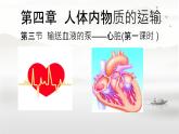 初中 生物 人教版（2024）七年级下册4.4.3 输送血液的泵——心脏 课件