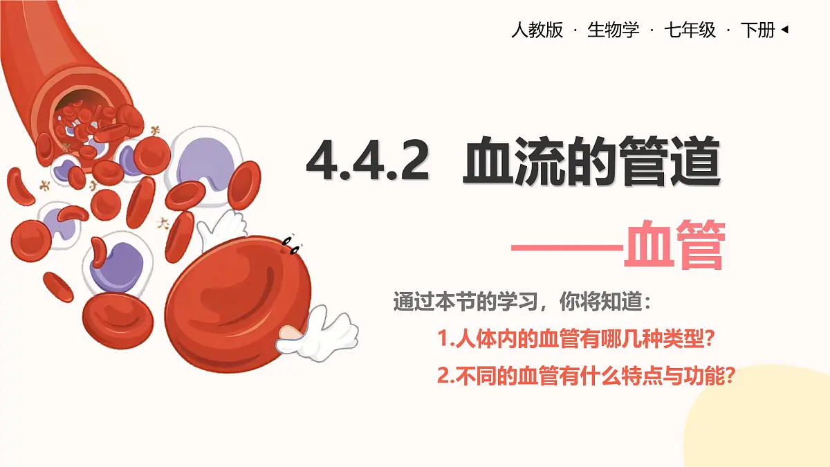 初中生物 人教版（2024）七年级下册4.4.2 血流的管道——血管 课件第1页