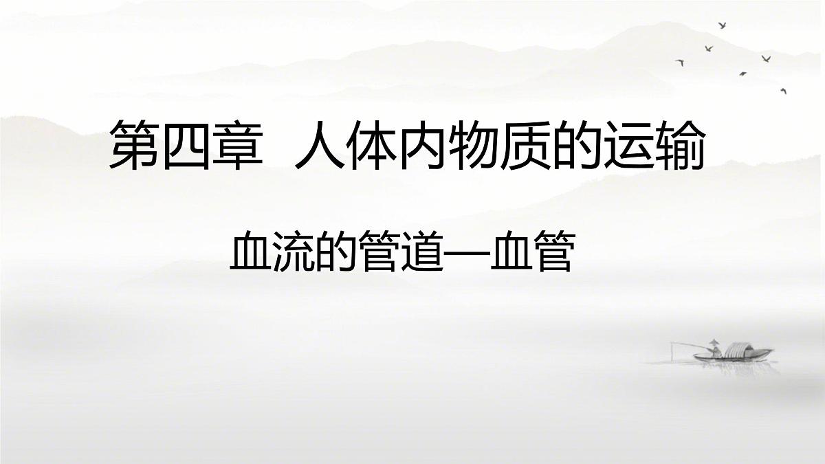 初中生物 人教版（2024）七年级下册4.4.2 血流的管道——血管 课件第1页
