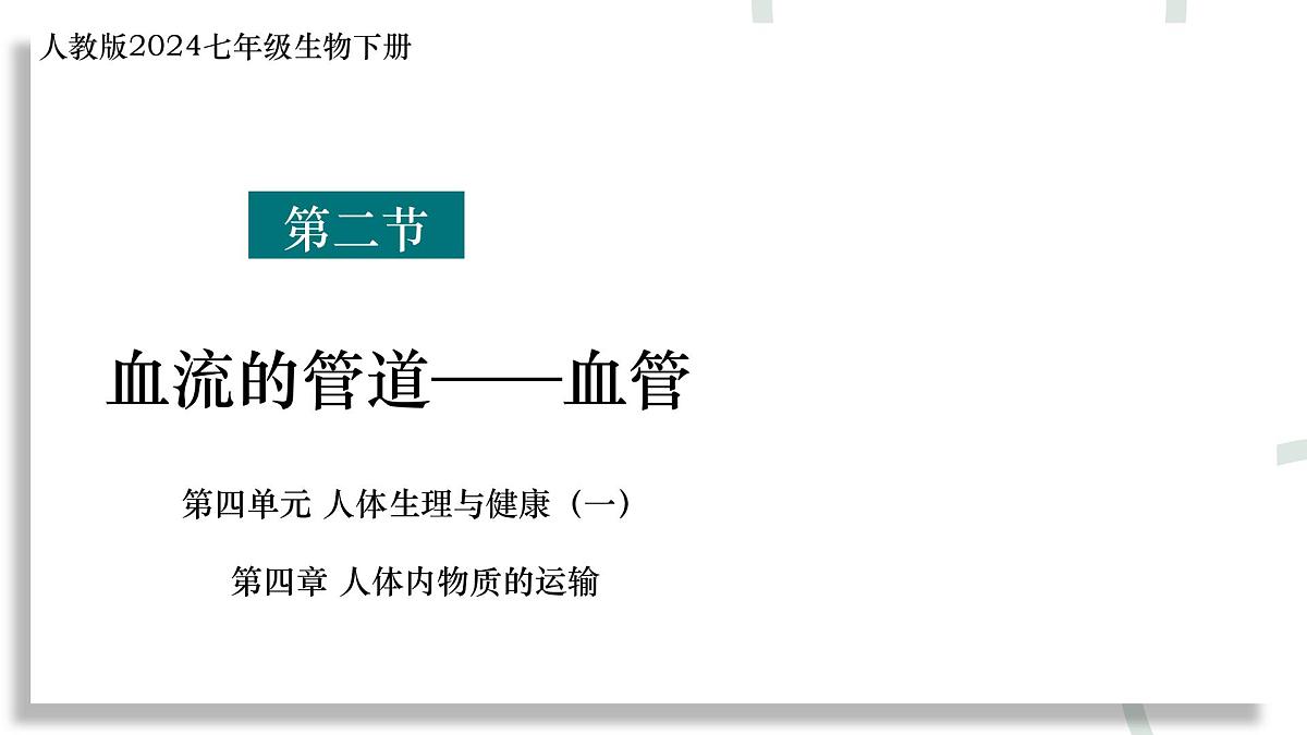 初中生物 人教版（2024）七年级下册4.4.2 血流的管道——血管 课件第1页