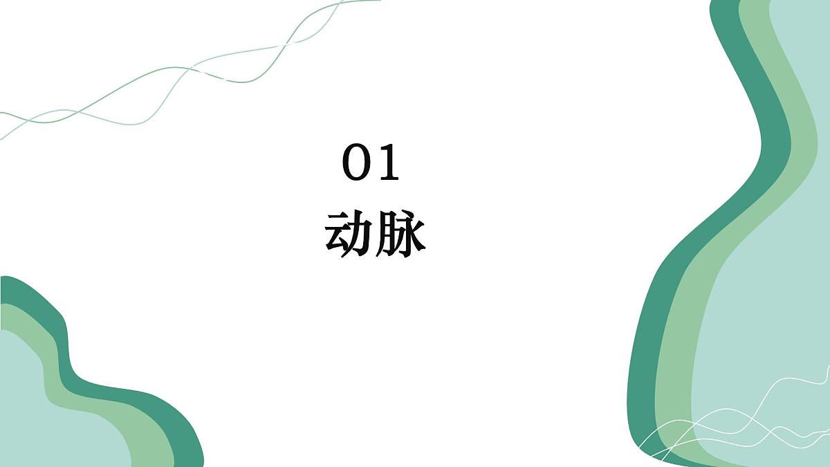 初中生物 人教版（2024）七年级下册4.4.2 血流的管道——血管 课件第7页