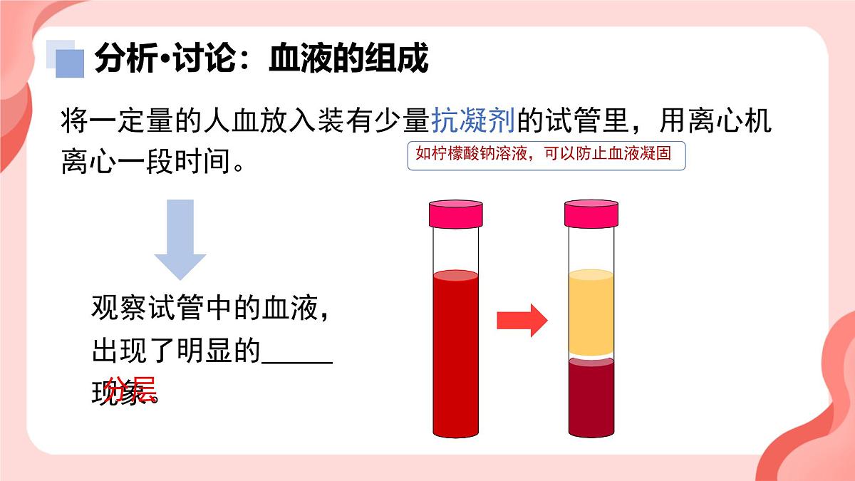 初中 生物 人教版（2024）七年级下册4.4.1 流动的组织——血液 课件第5页