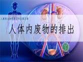 初中 生物 人教版（2024）七年級(jí)下冊(cè)（2024）第四單元第五章 人體內(nèi)廢物的排出 課件