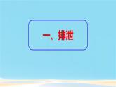 初中 生物 人教版（2024）七年級(jí)下冊(cè)（2024）第四單元第五章 人體內(nèi)廢物的排出 課件
