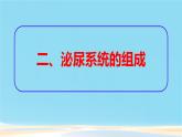初中 生物 人教版（2024）七年級(jí)下冊(cè)（2024）第四單元第五章 人體內(nèi)廢物的排出 課件