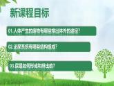 初中 生物 人教版（2024）七年級(jí)下冊(cè)（2024）第四單元第五章 人體內(nèi)廢物的排出 課件