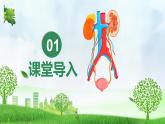 初中 生物 人教版（2024）七年級(jí)下冊(cè)（2024）第四單元第五章 人體內(nèi)廢物的排出 課件