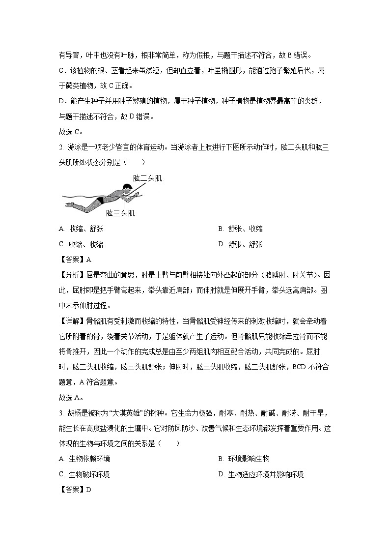 2025年四川省广安市华蓥市中考一模生物试题（解析版）第2页