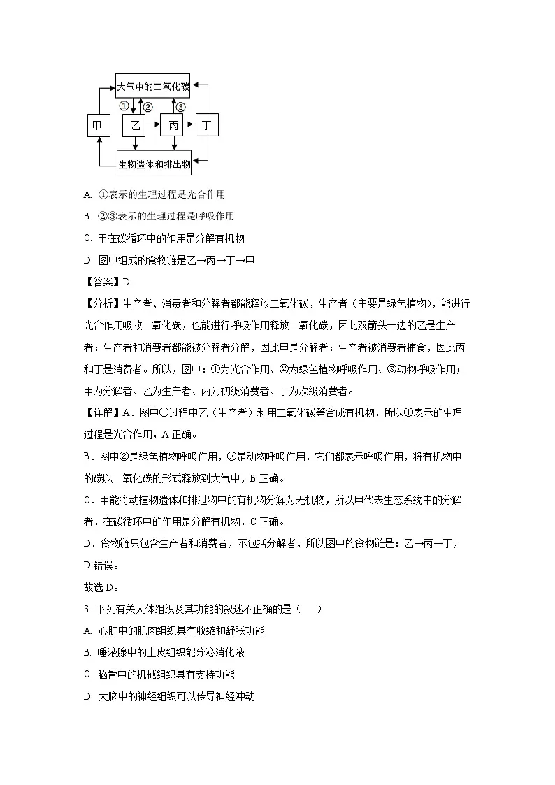 2025年山东省临沂市沂水县中考一模生物试题（解析版）第2页