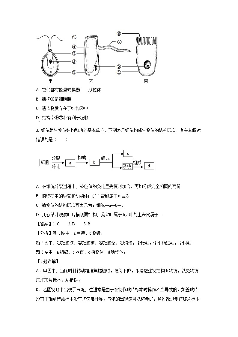 2025年山东省临沂市兰山区中考一模生物试题（解析版）第2页