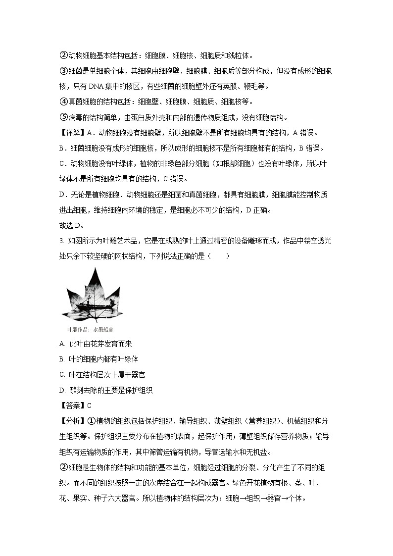 2025年山东省德州市庆云县中考一模生物试题（解析版）第2页