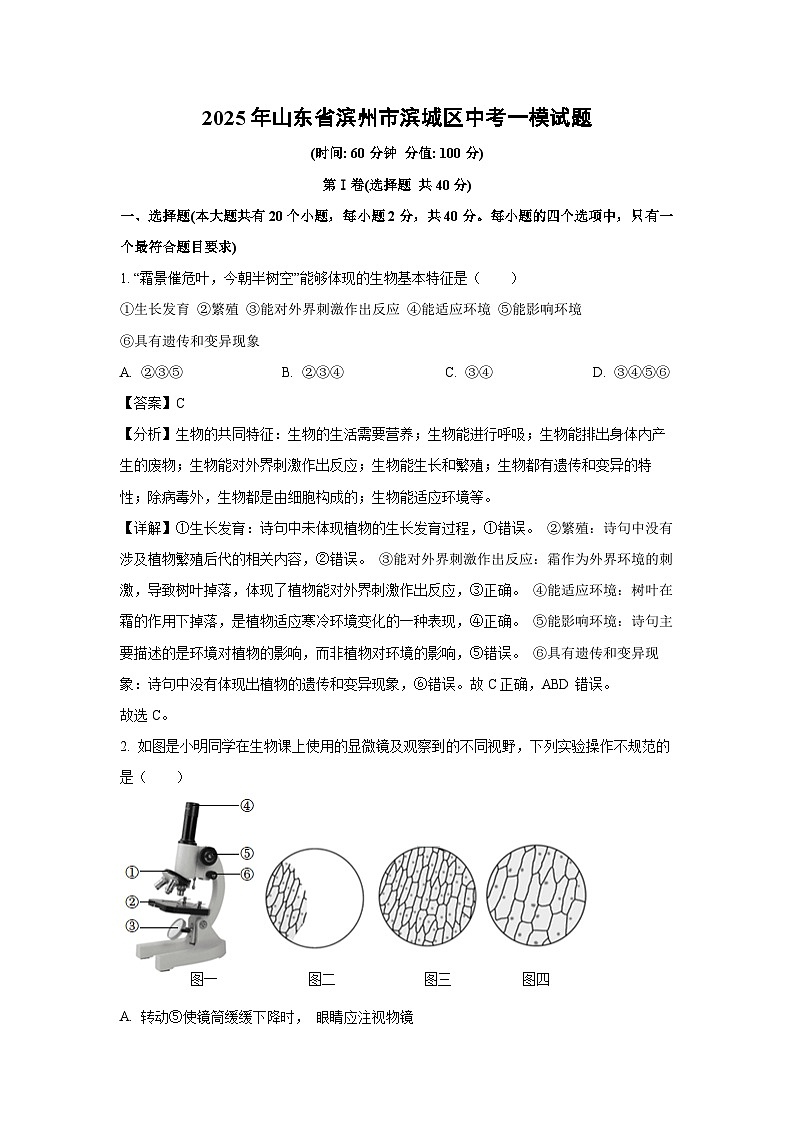 2025年山东省滨州市滨城区中考一模生物试题（解析版）第1页