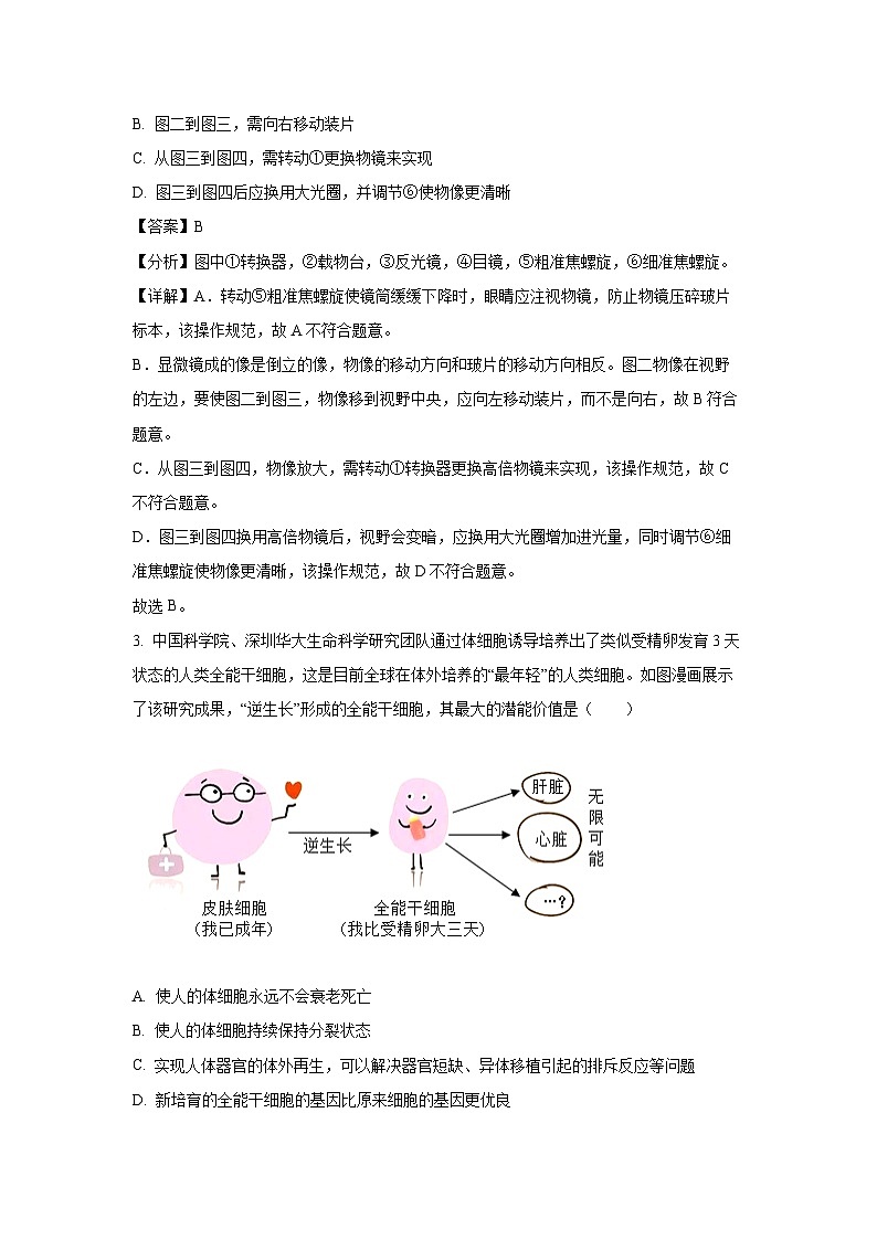 2025年山东省滨州市滨城区中考一模生物试题（解析版）第2页