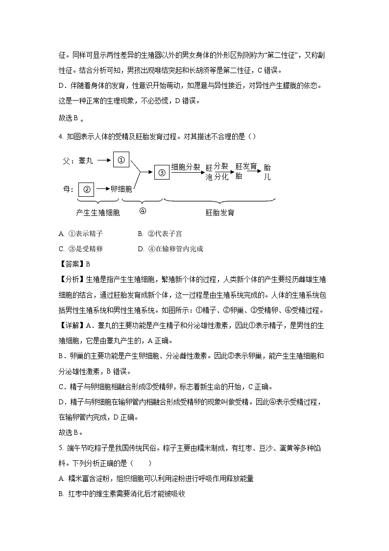 河北省保定市满城区2023-2024学年七年级下学期期末生物试题（解析版）第3页