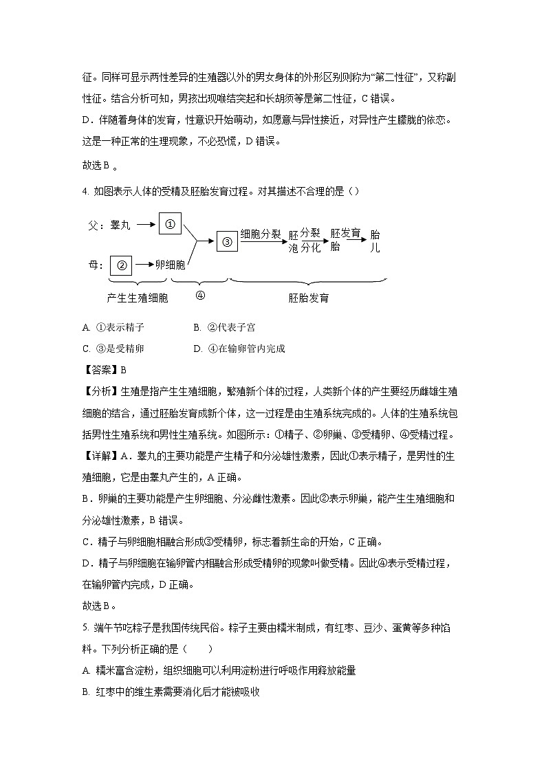 河北省保定市满城区2023-2024学年七年级下学期期末生物试题（解析版）第3页