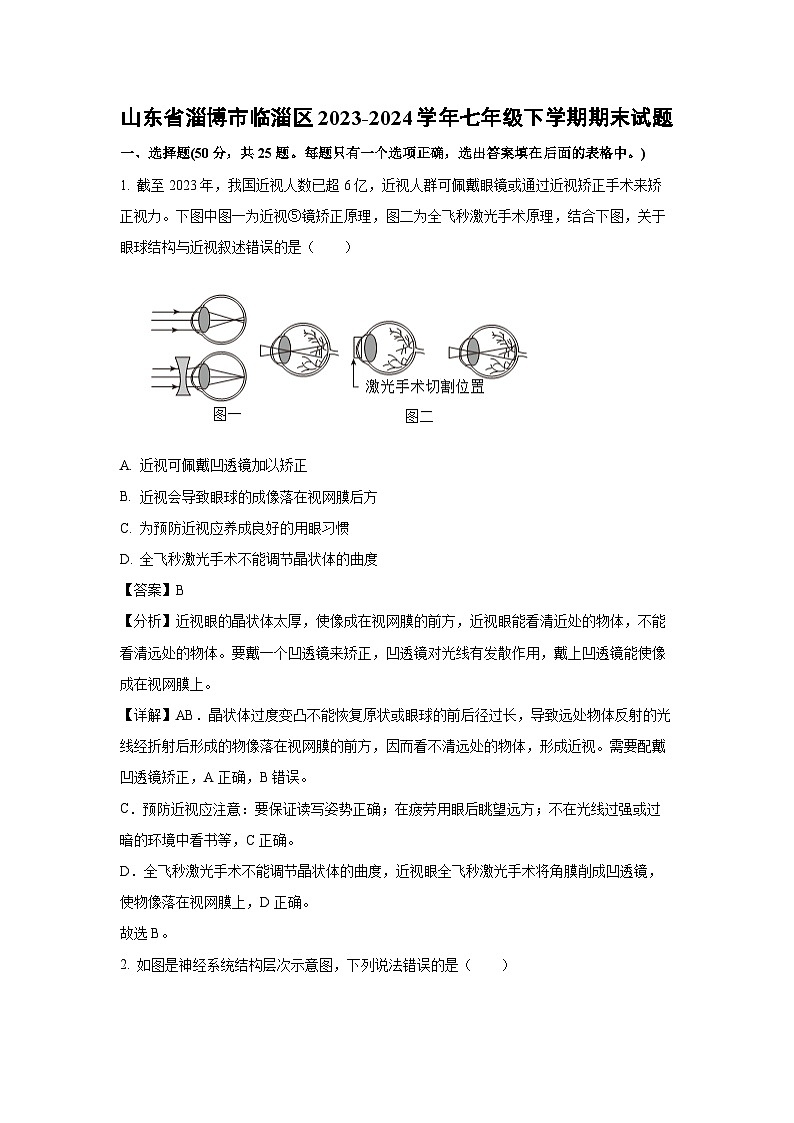山东省淄博市临淄区2023-2024学年七年级下学期期末生物试题（解析版）第1页