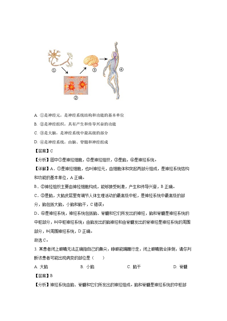 山东省淄博市临淄区2023-2024学年七年级下学期期末生物试题（解析版）第2页