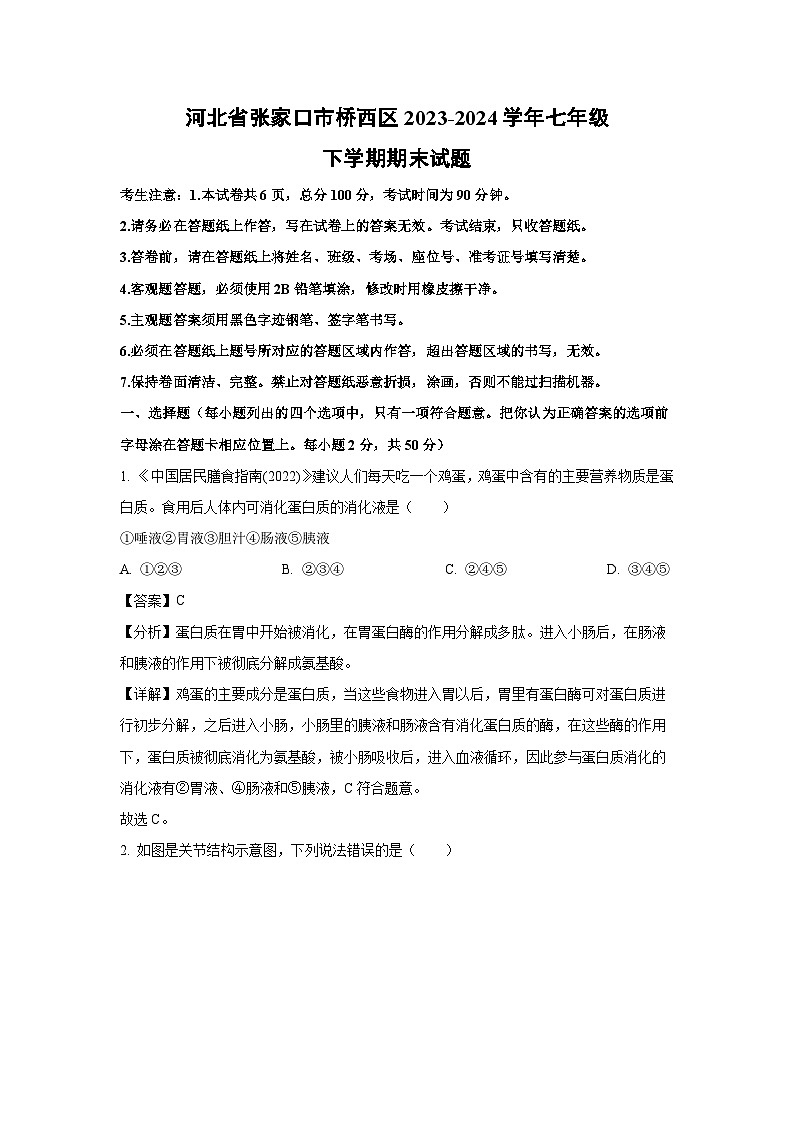 河北省张家口市桥西区2023-2024学年七年级下学期期末生物试题（解析版）第1页