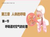 4.3.1 呼吸道对空气的处理 课件-2024--2025学年人教版生物七年级下册