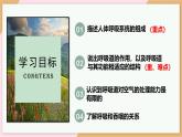 4.3.1 呼吸道对空气的处理 课件-2024--2025学年人教版生物七年级下册