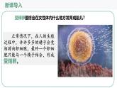 4.1.1++人的生殖++课件-2024-2025学年人教版生物七年级下册
