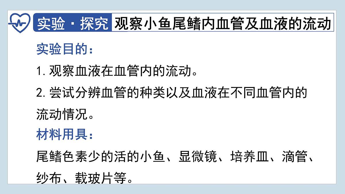 4.4.2+血流的管道——血管  2025学年七年级生物下册人教版 课件第5页