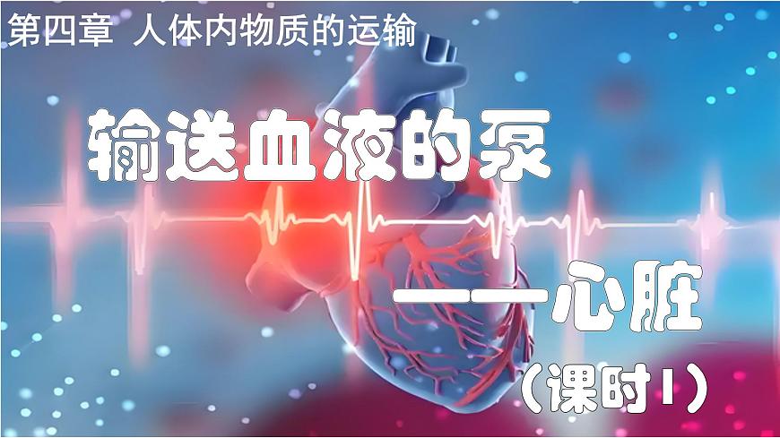 4.4.3+输送血液的泵——心脏（课时1） 2025学年七年级生物下册人教版课件第1页