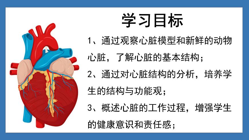 4.4.3+输送血液的泵——心脏（课时1） 2025学年七年级生物下册人教版课件第2页
