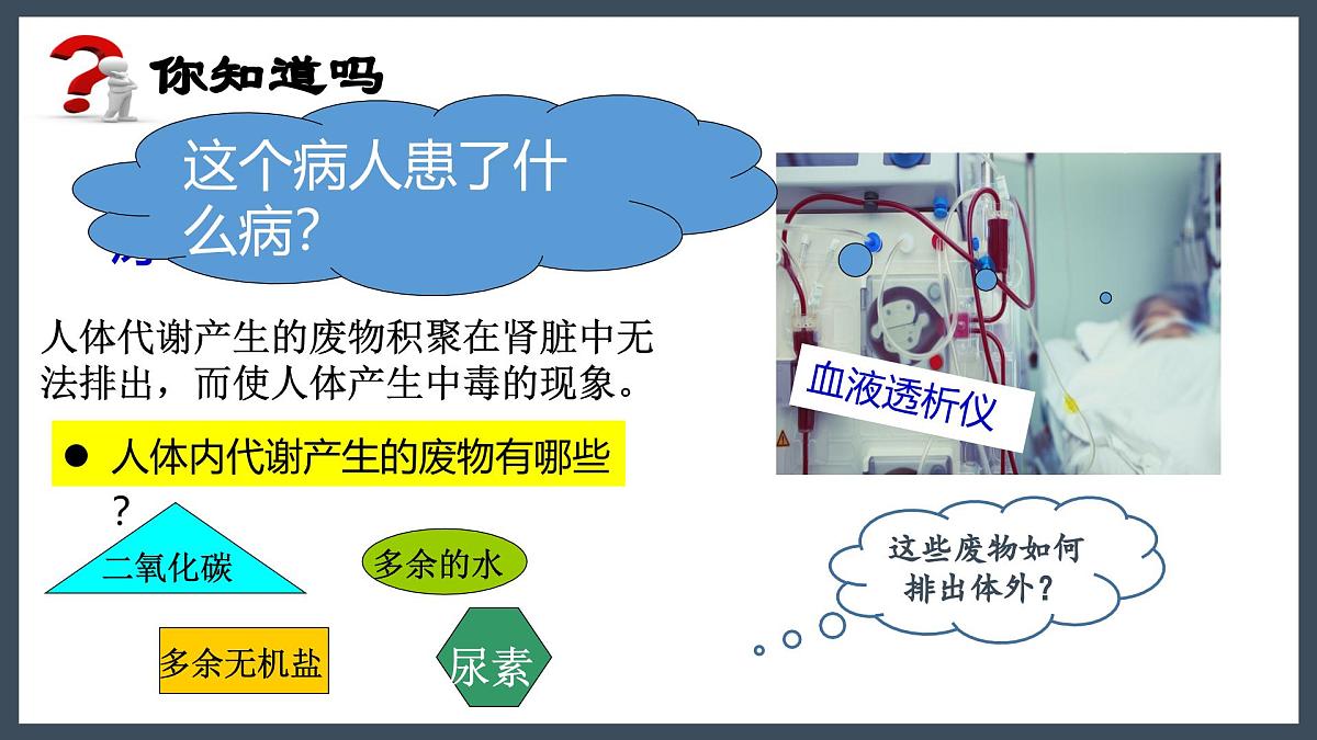 4.5人体内废物的排出+课件-2024--2025学年人教版七年级生物下册第1页
