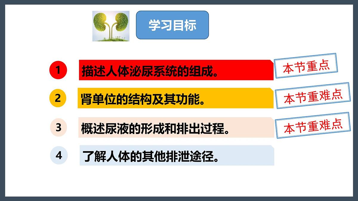4.5人体内废物的排出+课件-2024--2025学年人教版七年级生物下册第3页