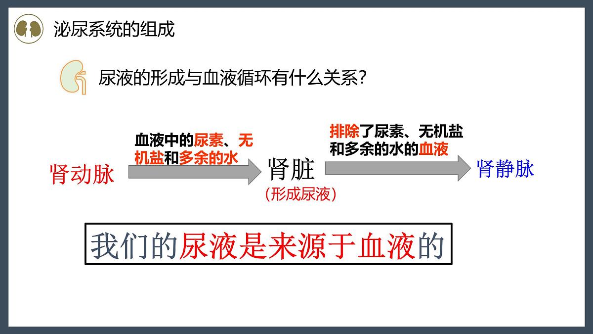 4.5人体内废物的排出+课件-2024--2025学年人教版七年级生物下册第8页