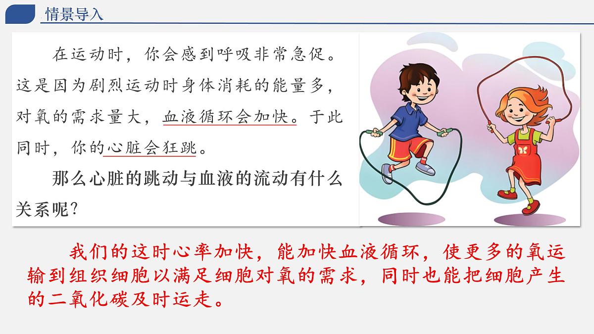 4.4.3+输送血液的泵——心脏 2025学年七年级生物下册人教版 课件第2页