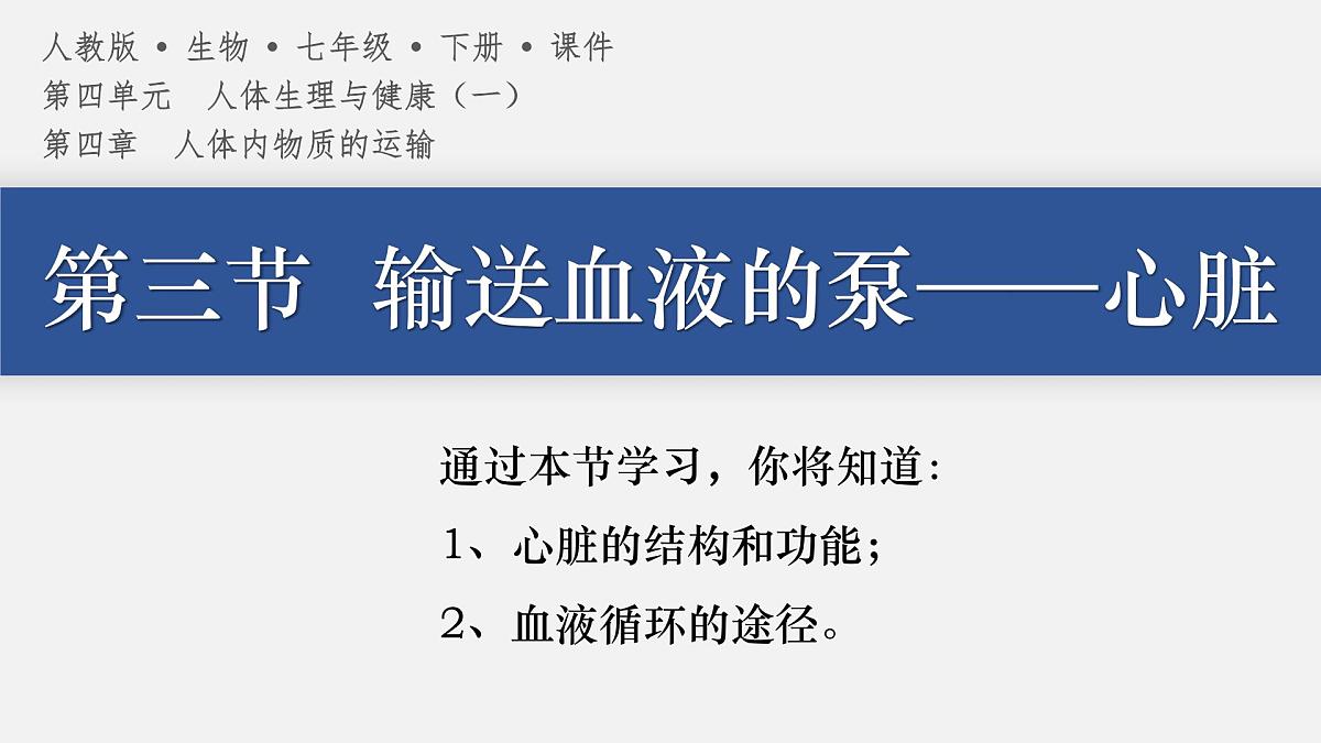 4.4.3+输送血液的泵——心脏 2025学年七年级生物下册人教版 课件第3页